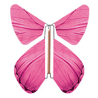 Papillon Magique Impulsion Fuchsia